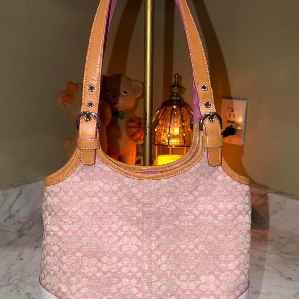 Coach Women's multi Bag
